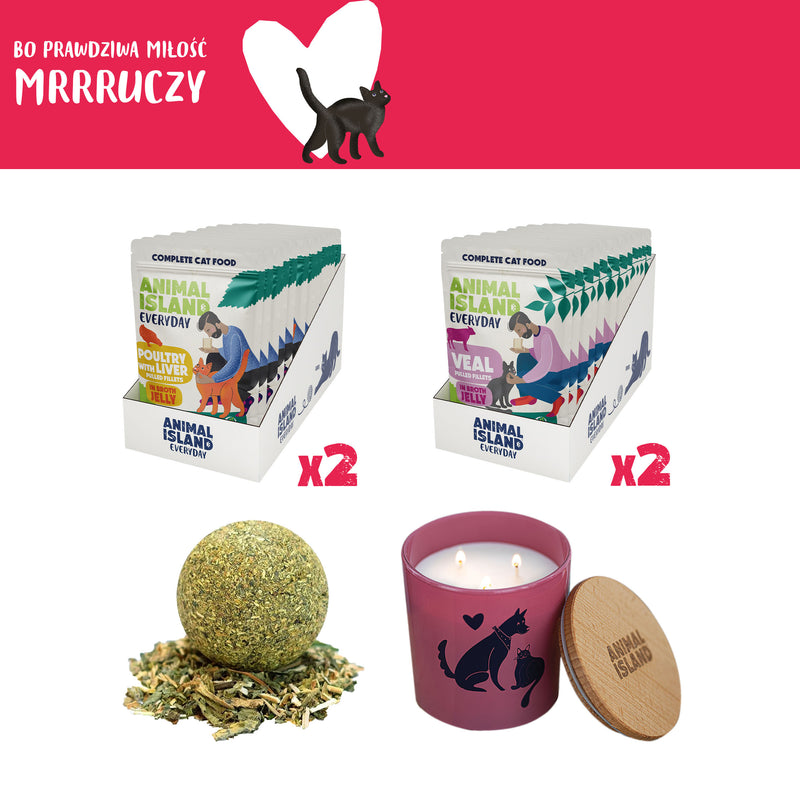 Zestaw LOVE Box dla kota - saszetki w galarecie 2x (12szt Drób /12szt Cielęcina, 48 szt.)