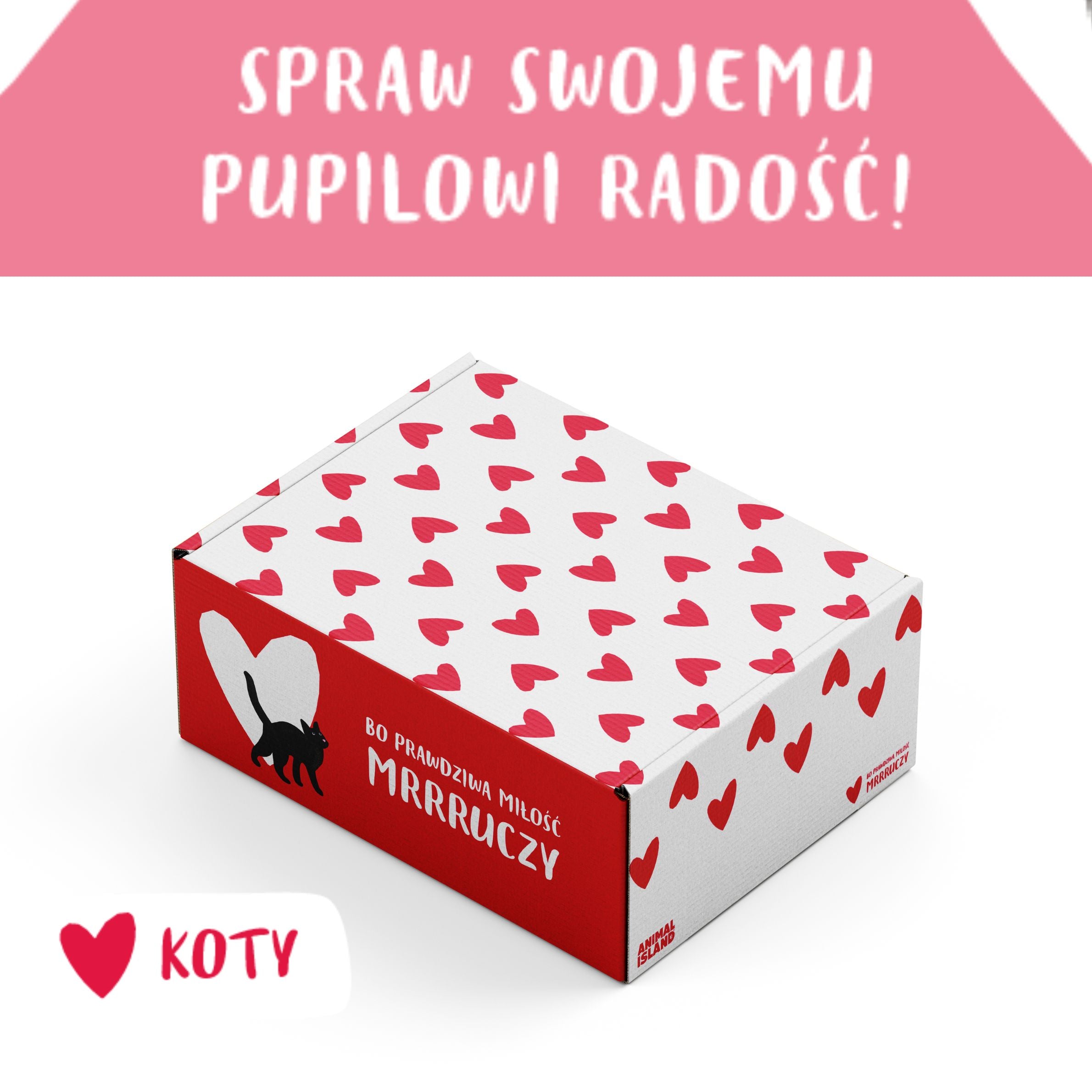 Zestaw LOVE Box dla kota - saszetki pasztet 2x (12szt indyk / 12szt wołowina, 48 szt.)