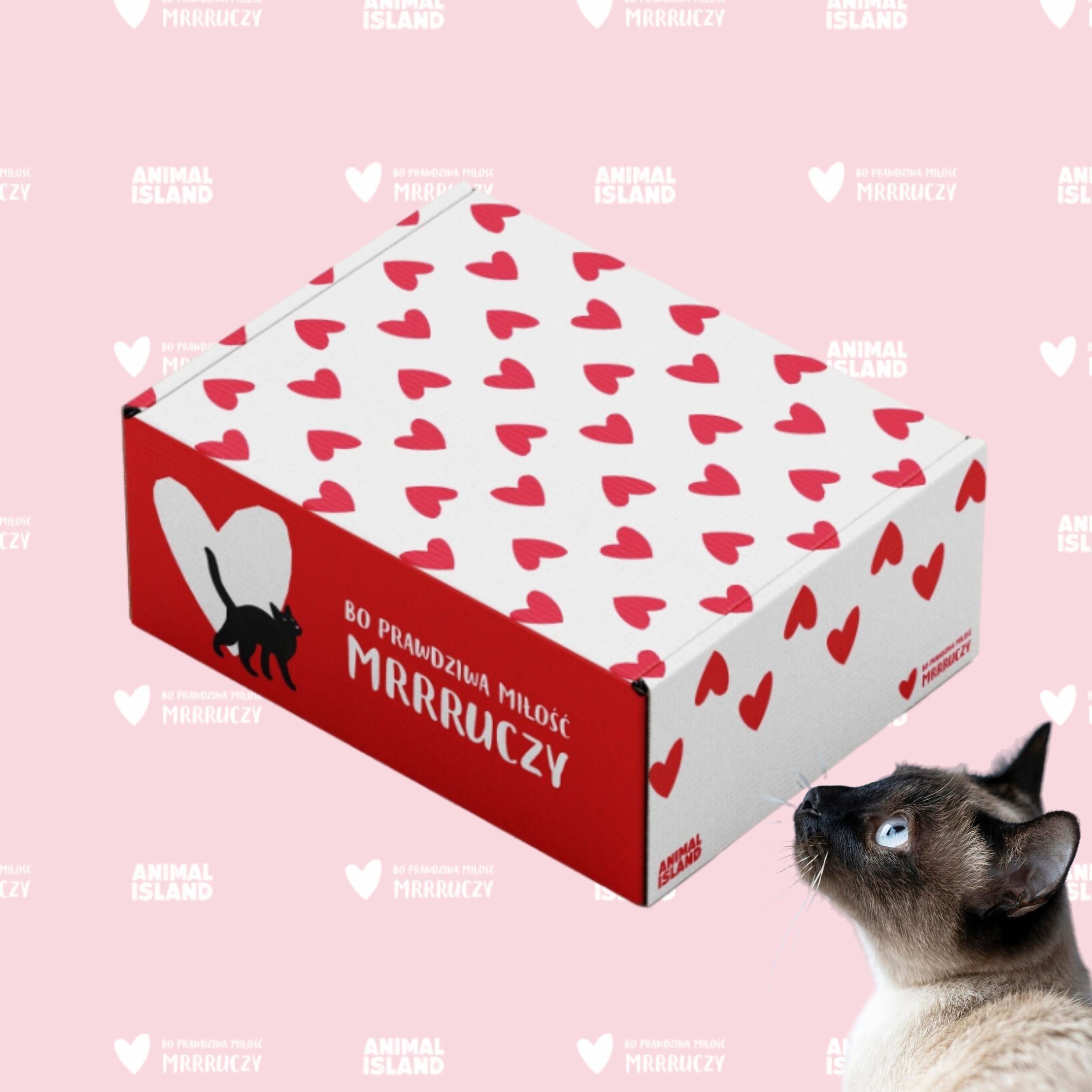 Zestaw LOVE Box dla kota - saszetki pasztet 2x (12szt indyk / 12szt wołowina, 48 szt.)