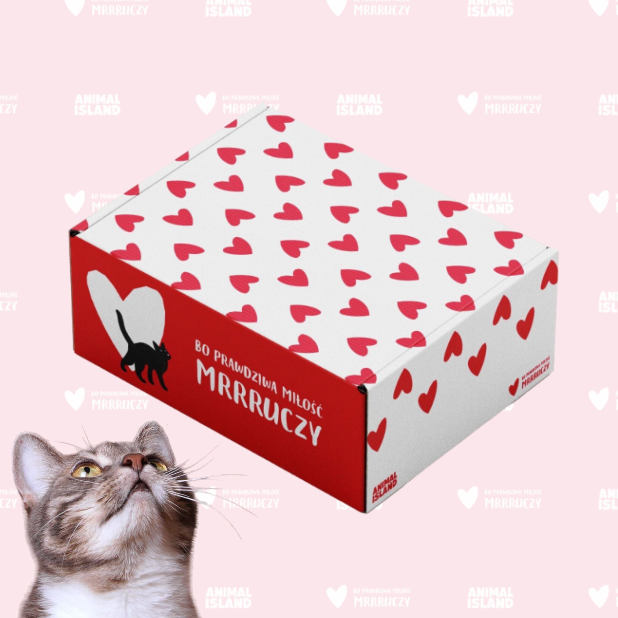 Zestaw LOVE Box dla kota - saszetki w galarecie 2x (12szt Drób /12szt Cielęcina, 48 szt.)