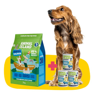 Healthy Skin Without Dandruff Package: Dry food with salmon 3kg + wet food from the Everyday line turkey/quail 3x400g