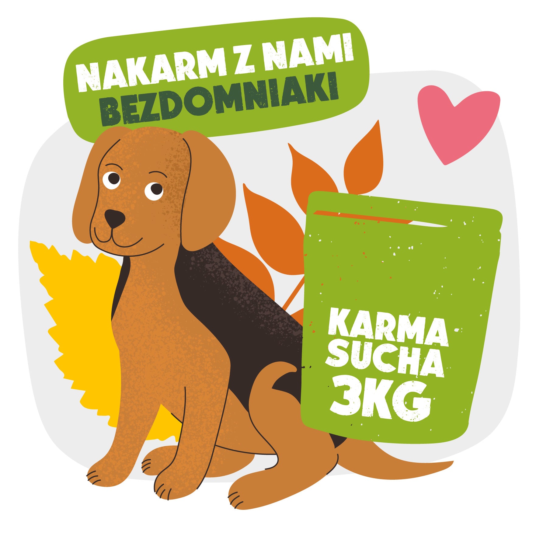 Sucha Karma dla Psa - 3KG - Nakarm z nami Bezdomniaki!