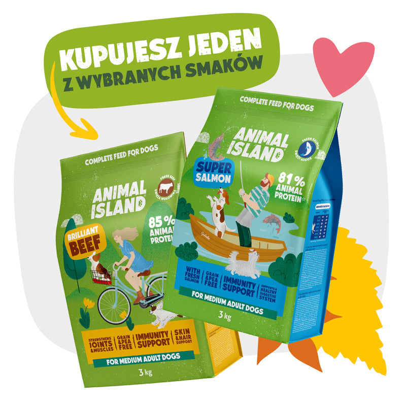 Sucha Karma dla Psa - 3KG - Nakarm z nami Bezdomniaki!