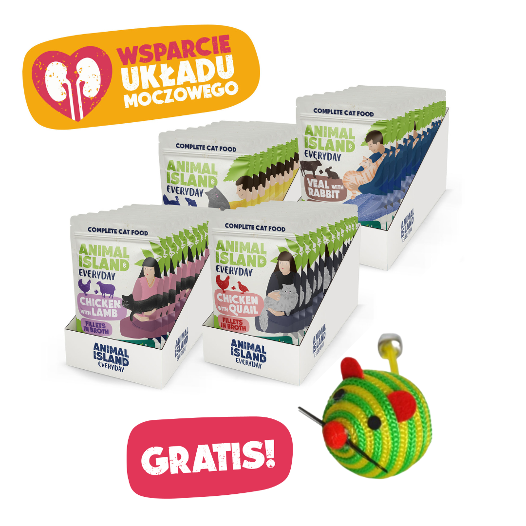 ,,WSPARCIE UKŁADU MOCZOWEGO'' - Misja Smak i Zdrowie + GRATIS!