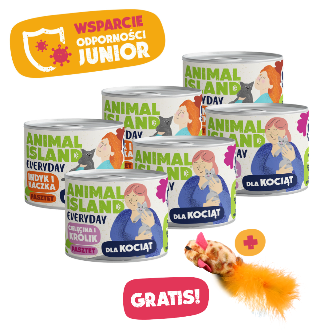 Zestaw Everyday Wsparcie Odporności Junior 6x185g + GRATIS!