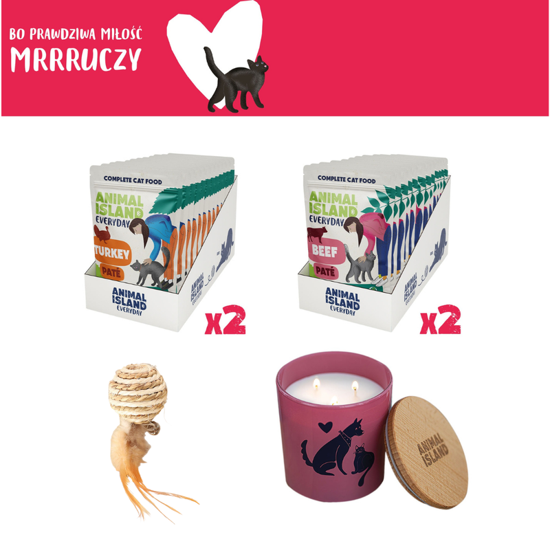 LOVE Box set for cats - pate sachets 2x (12pcs turkey / 12pcs beef, 48 pcs)