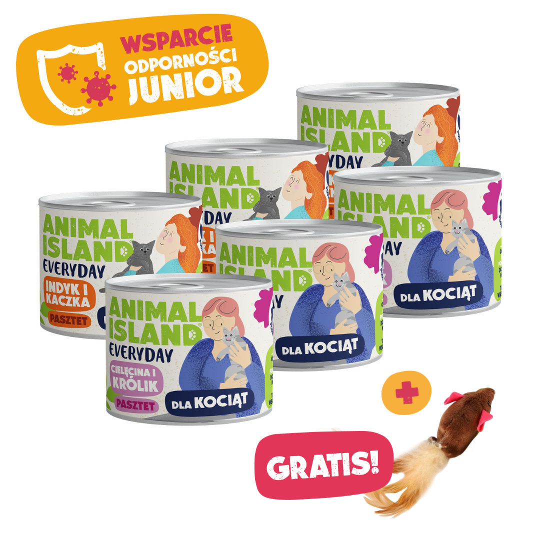 Zestaw Everyday Wsparcie Odporności Junior 6x185g + GRATIS!
