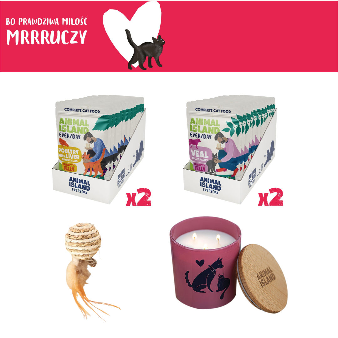 LOVE Box set for cats - sachets in jelly 2x (12pcs Poultry / 12pcs Veal, 48 pcs)