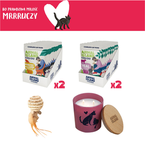 LOVE Box set for cats - sachets in jelly 2x (12pcs Poultry / 12pcs Veal, 48 pcs)