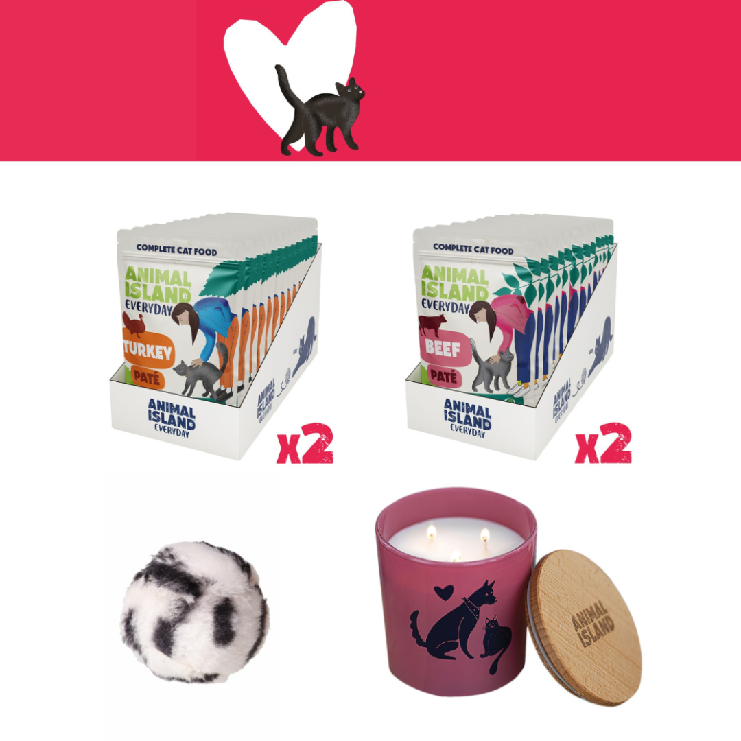 Zestaw LOVE Box dla kota - saszetki pasztet 2x (12szt indyk / 12szt wołowina, 48 szt.)