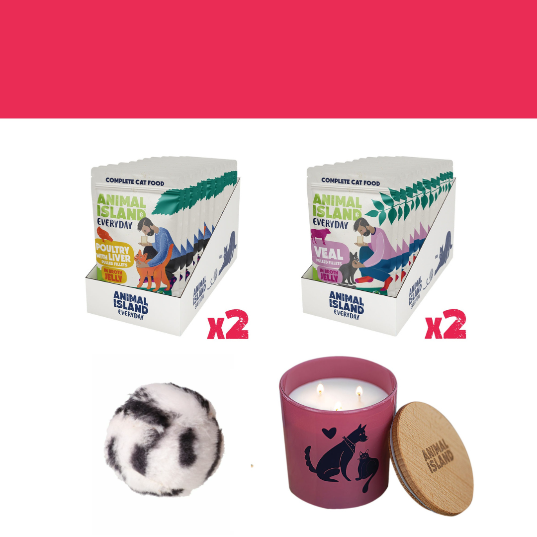 Zestaw LOVE Box dla kota - saszetki w galarecie 2x (12szt Drób /12szt Cielęcina, 48 szt.)