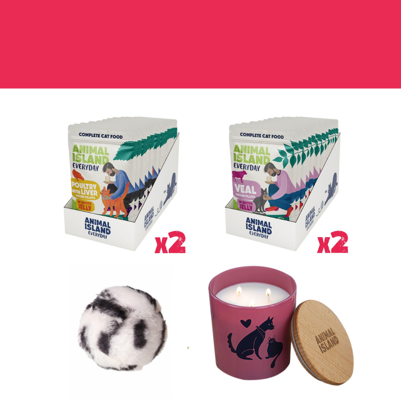 LOVE Box set for cats - sachets in jelly 2x (12pcs Poultry / 12pcs Veal, 48 pcs)