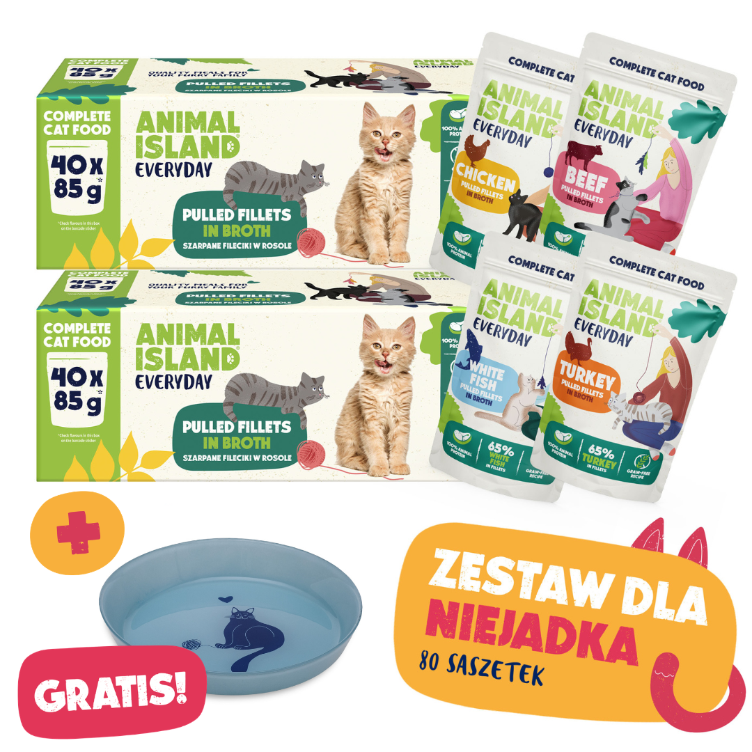 ZESTAW DLA NIEJADKA - Kocie wybory + GRATIS