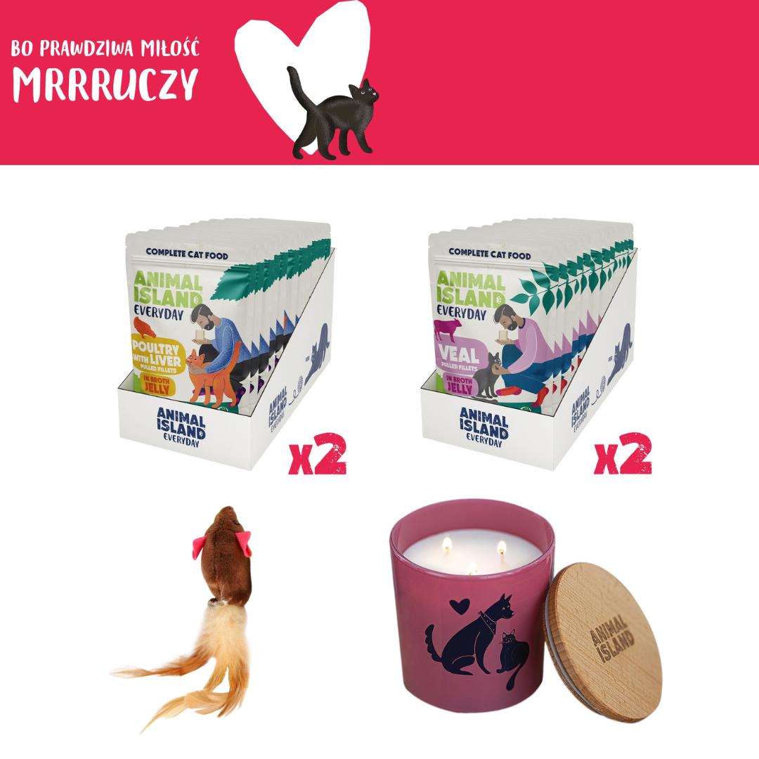 Zestaw LOVE Box dla kota - saszetki w galarecie 2x (12szt Drób /12szt Cielęcina, 48 szt.)