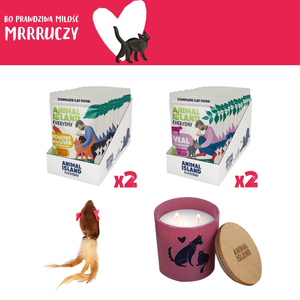 Zestaw LOVE Box dla kota - saszetki w galarecie 2x (12szt Drób /12szt Cielęcina, 48 szt.)