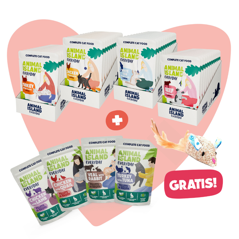 LOVE BOX dla Kota – Saszetki Filecików w Aromatycznym Rosole - Mix Smaków + GRATISY!