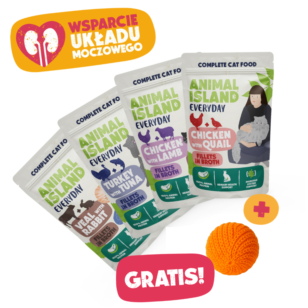 ,,WSPRACIE UKŁADU MOCZOWEGO''- Pełnowartościowy Dzień + GRATIS!