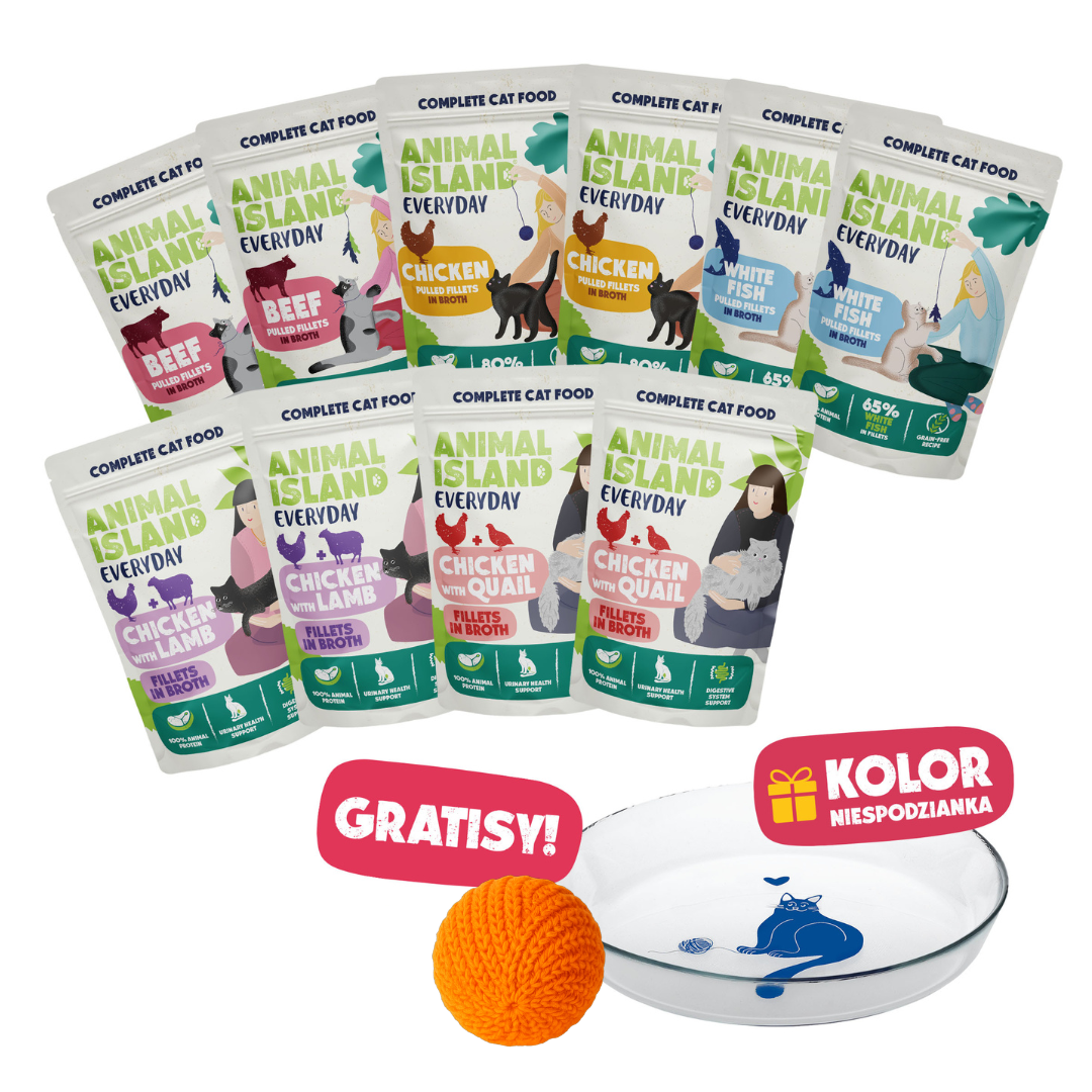 Mokra Karma dla kota 10x85 g – Mix Smaków + Gratisy