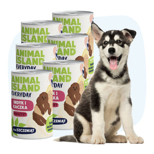 Turkey and duck puppy food 6x400g can Everyday