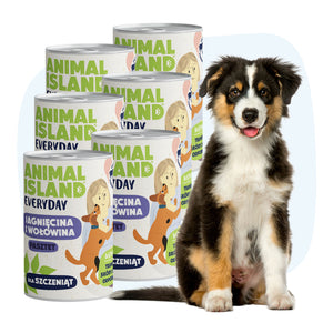 Beef and lamb puppy food 6x400g can Everyday