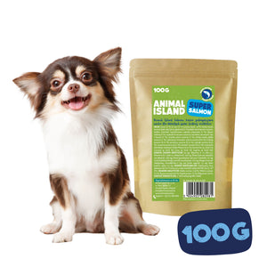 Dry Dog Food Salmon 100g 