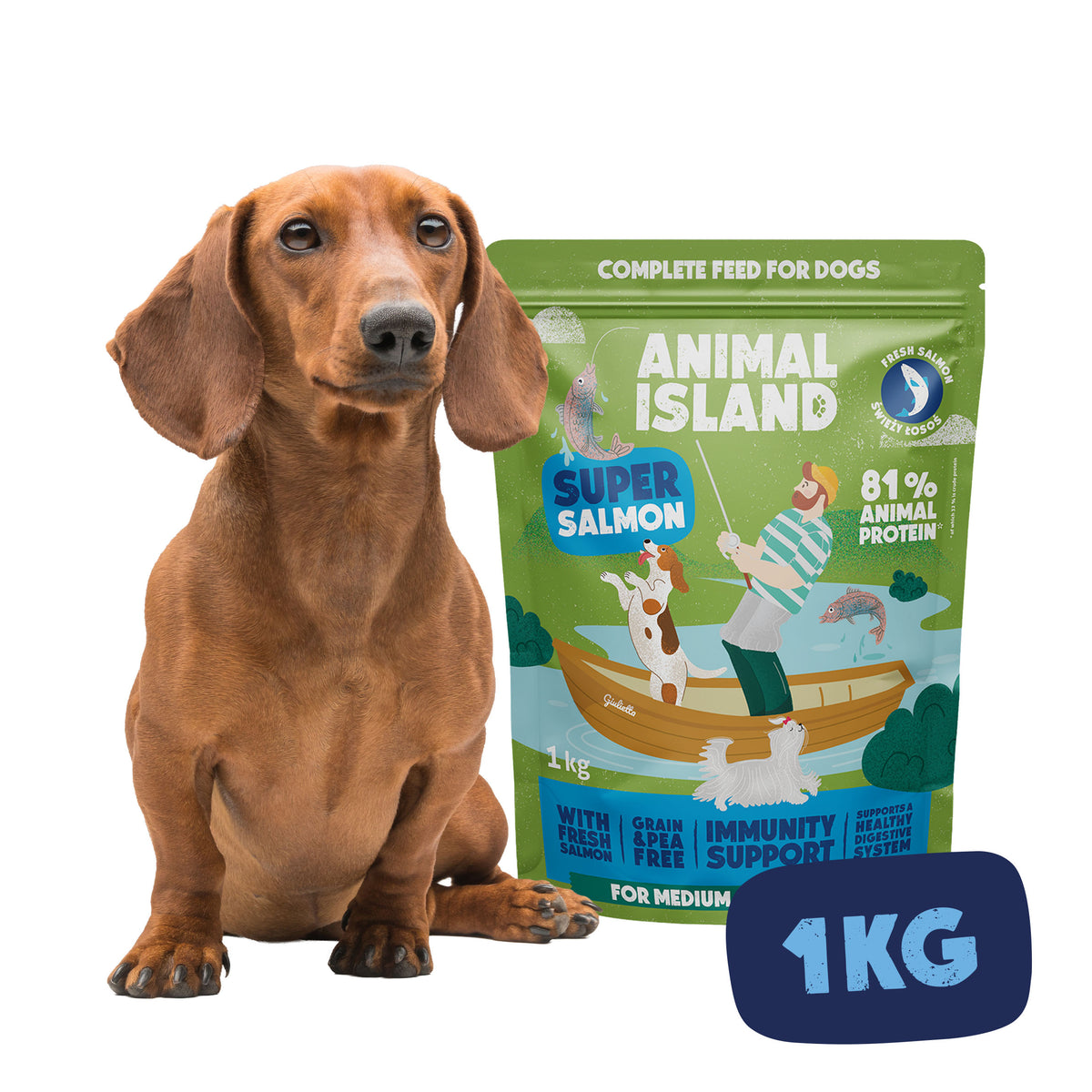 Dry dog ​​food salmon 1kg