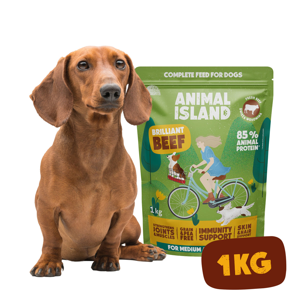 Dry dog ​​food beef 1kg