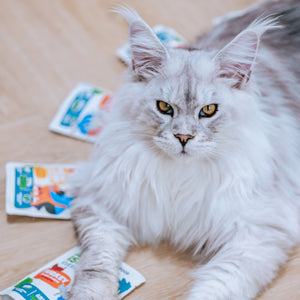 Вологий корм для котів White Fish 85 г щодня