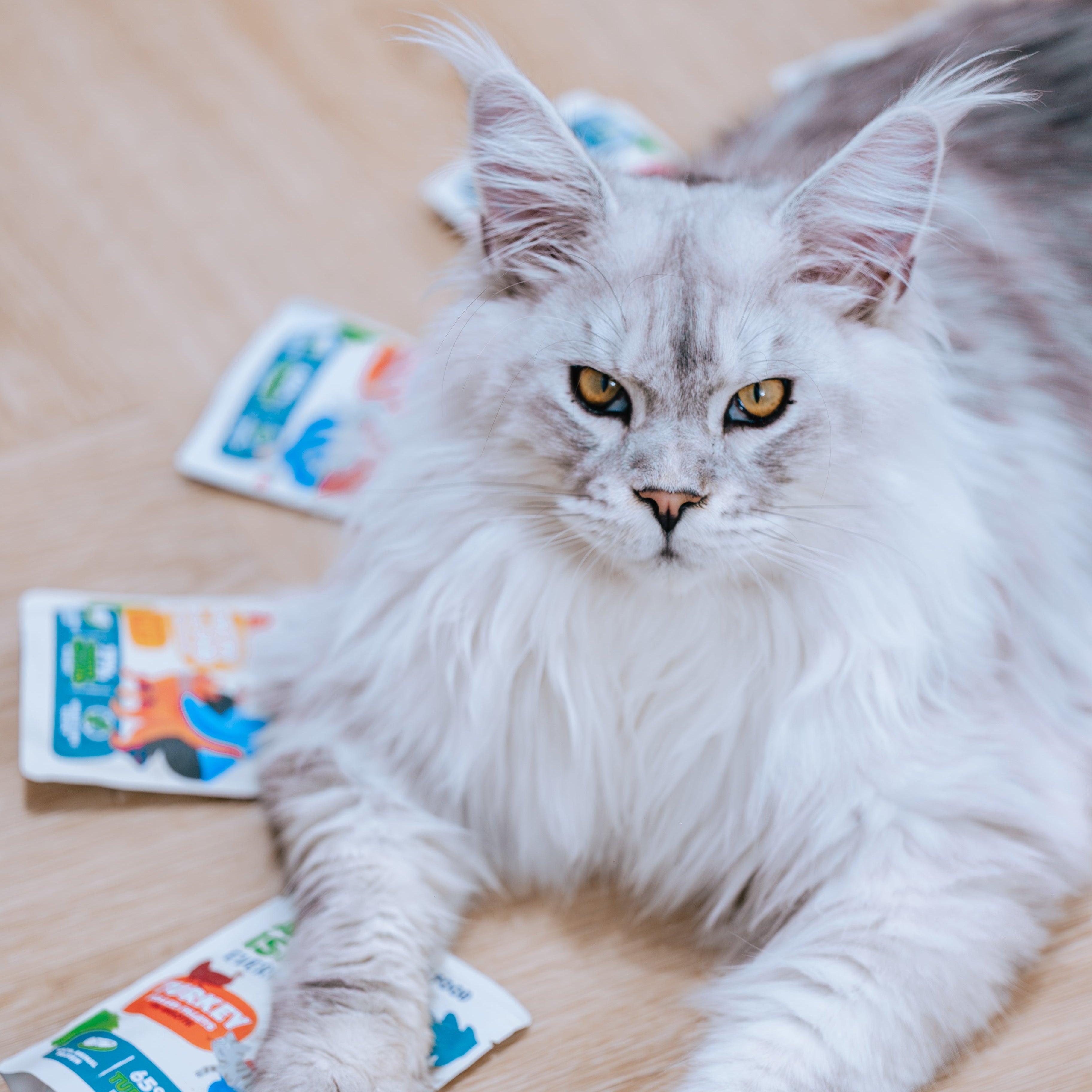 Вологий корм для котів White Fish 85 г щодня