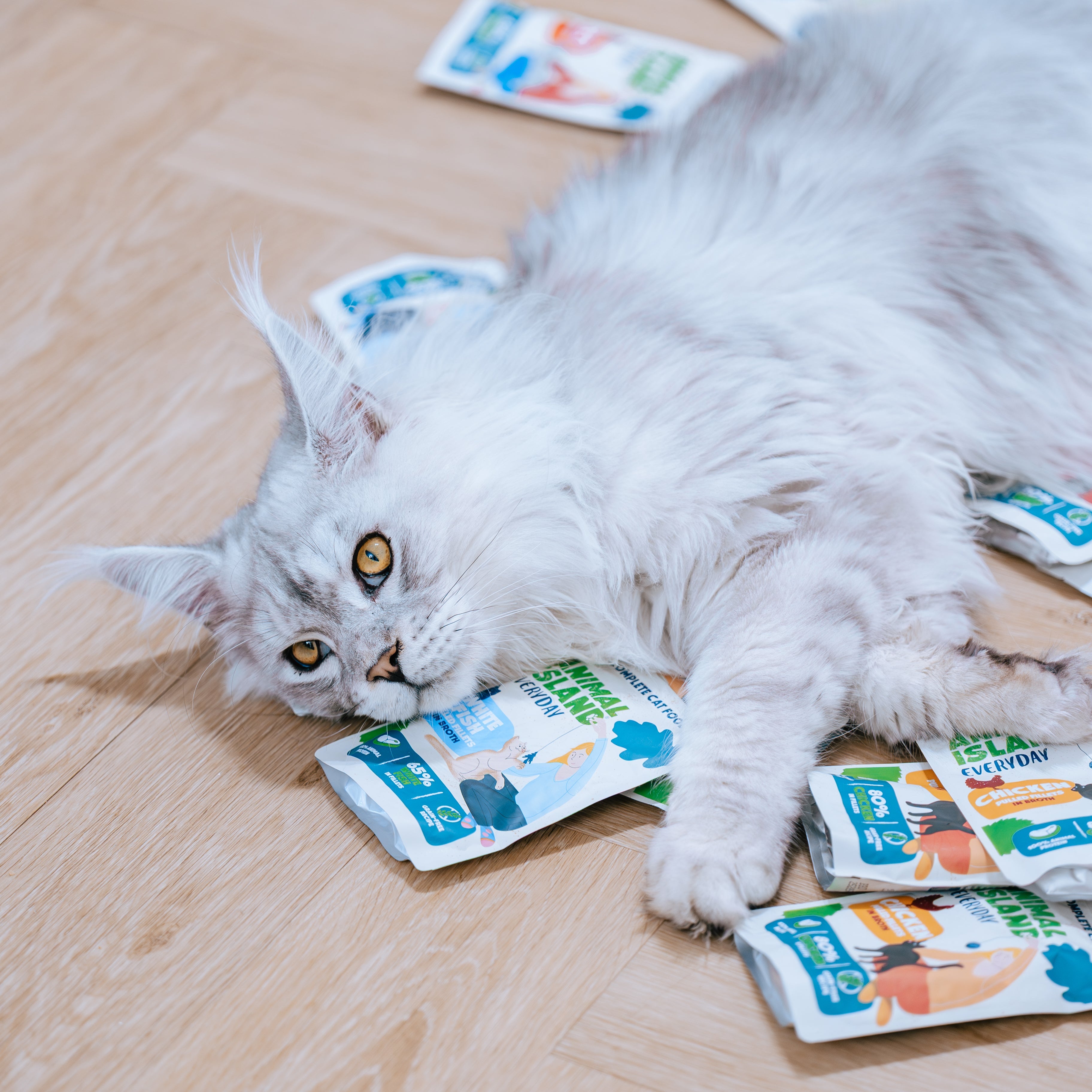 MONOPAK Mokra Karma dla kota KURCZAK - fileciki w rosole 40x85G