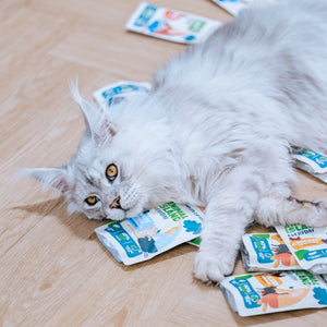 80‑PAK Indyk / Biała Ryba w Rosole – Animal Island Everyday