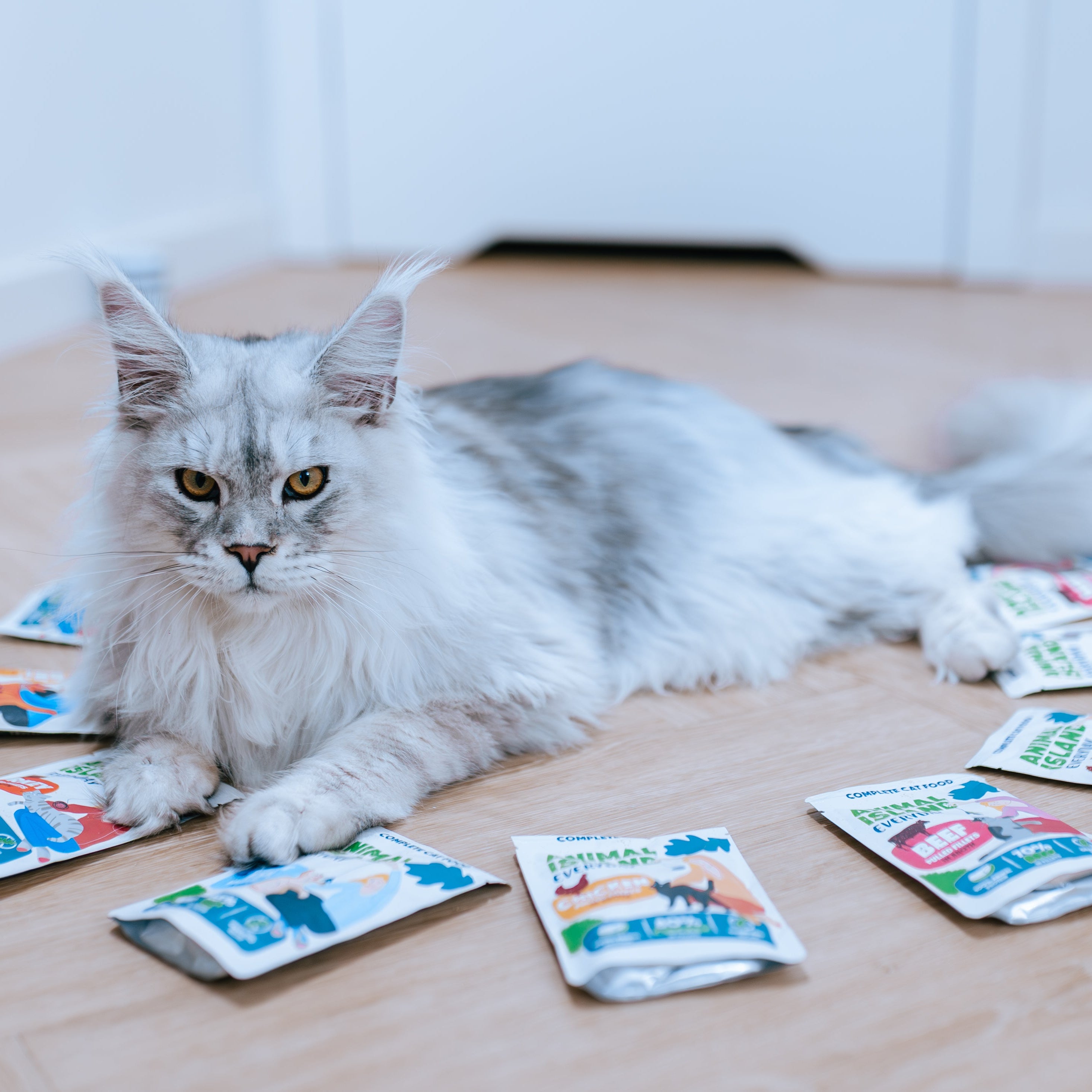 MONOPAK Mokra karma dla kota INDYK 40X85G - fileciki w rosole