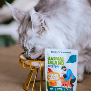 Вологий корм для котів, в'ялене філе в бульйонному желе, печінка птиці, 85 г Щодня 