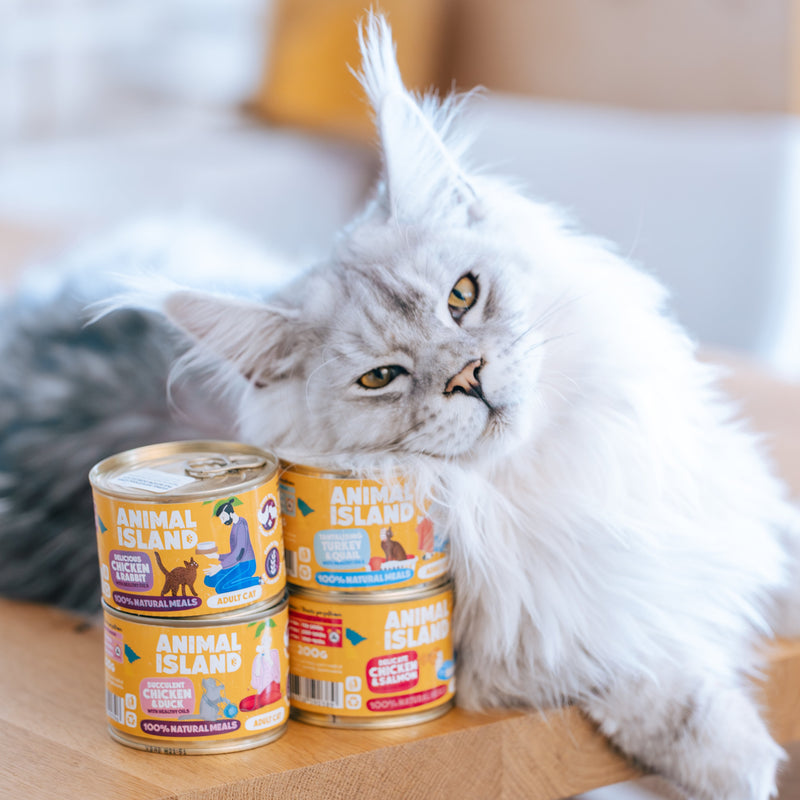 Mokra karma dla Kota kurczak kaczka 24x200g