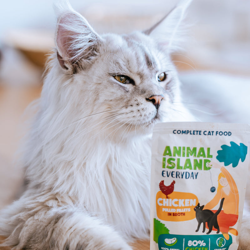 Вологий корм для котів з куркою 85 г щодня