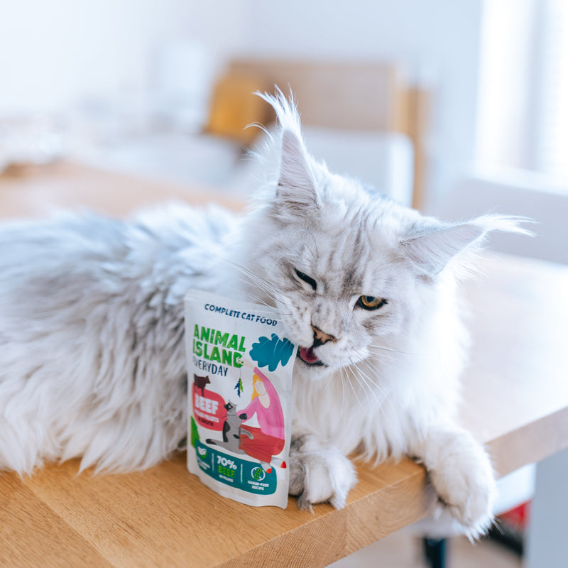 80‑PAK Kurczak / Wołowina w Rosole – Animal Island Everyday