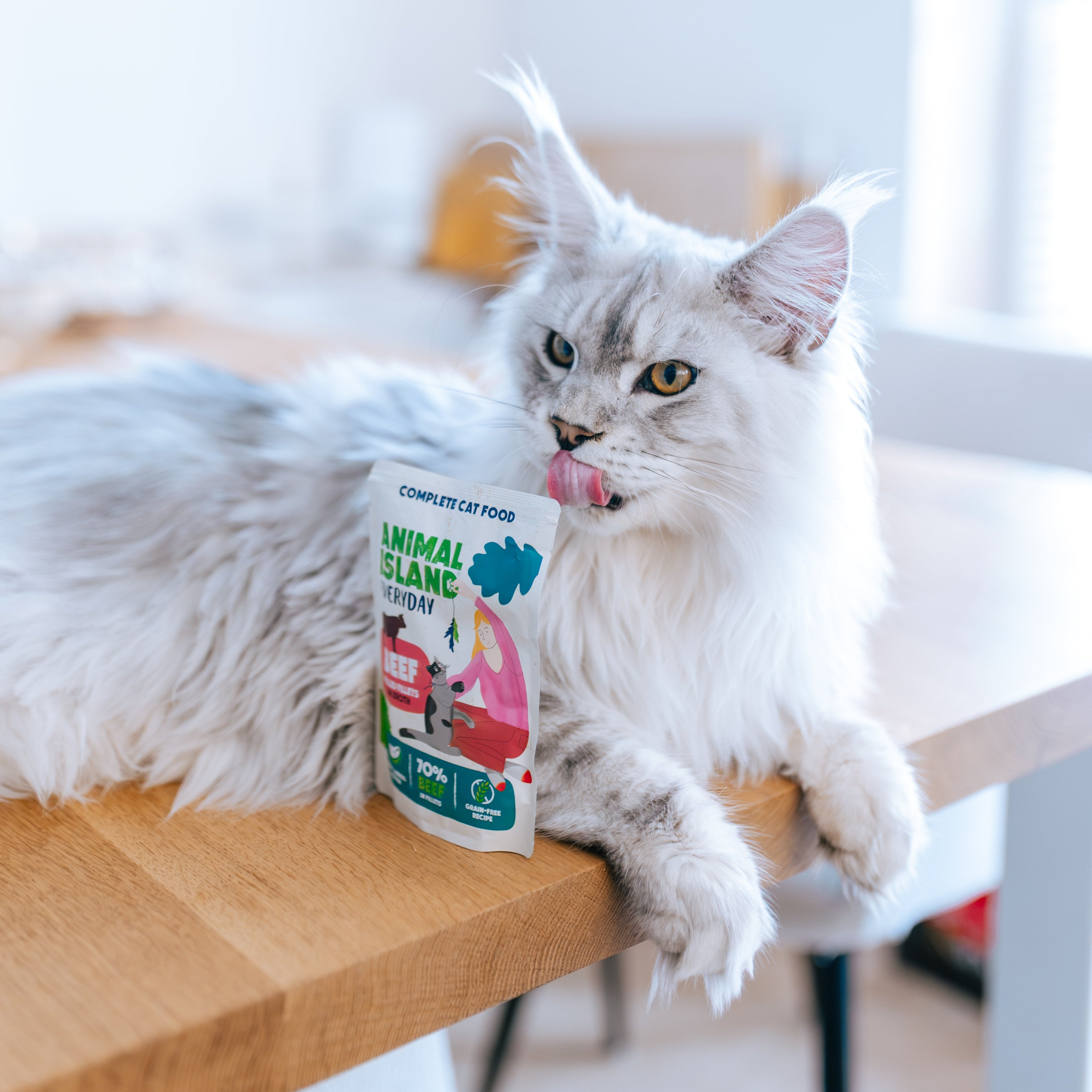 MONOPAK 40x85G  Mokra karma dla kota -  WOŁOWINA - fileciki w rosole