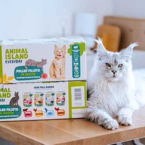 Pudełko Smakosza + GRATISY!