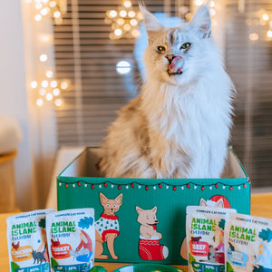 Świąteczna Paczka Mruczka + PREZENTY!