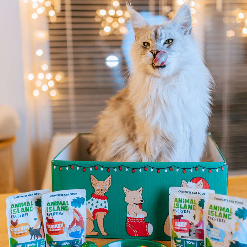 Świąteczna Paczka Mruczka + PREZENTY!