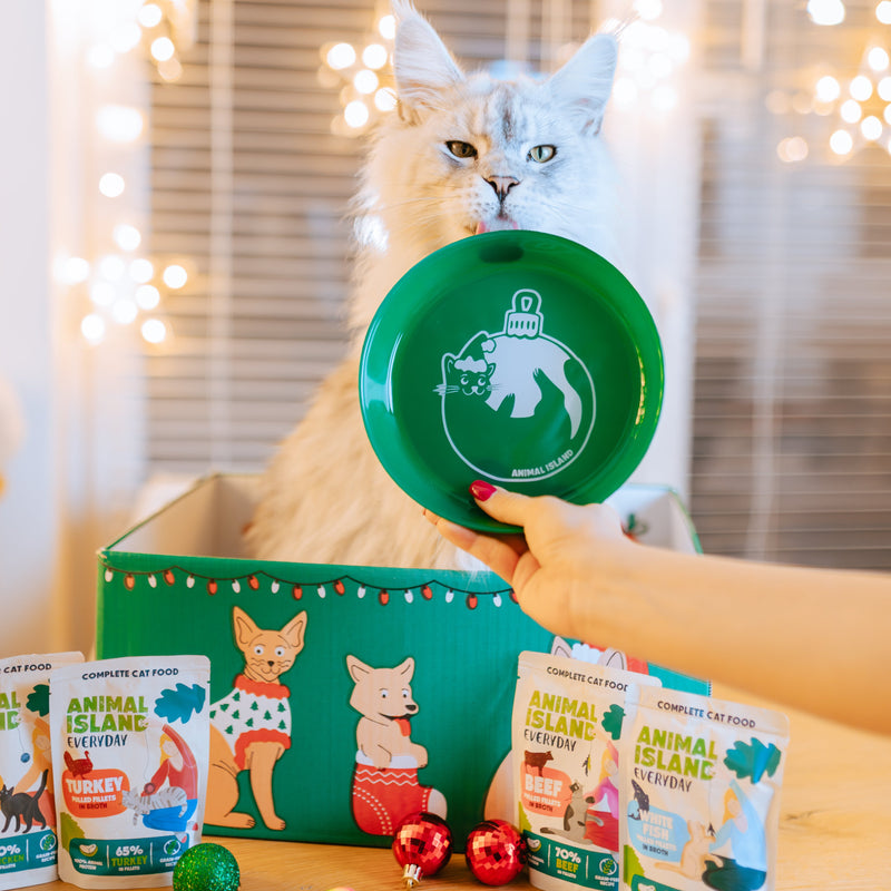 Zielona Gwiazdka Mruczka + PREZENTY!