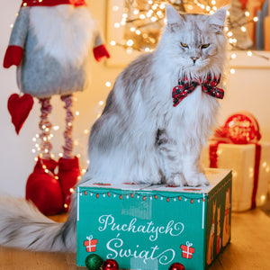 Świąteczna Paczka Mruczka + PREZENTY!
