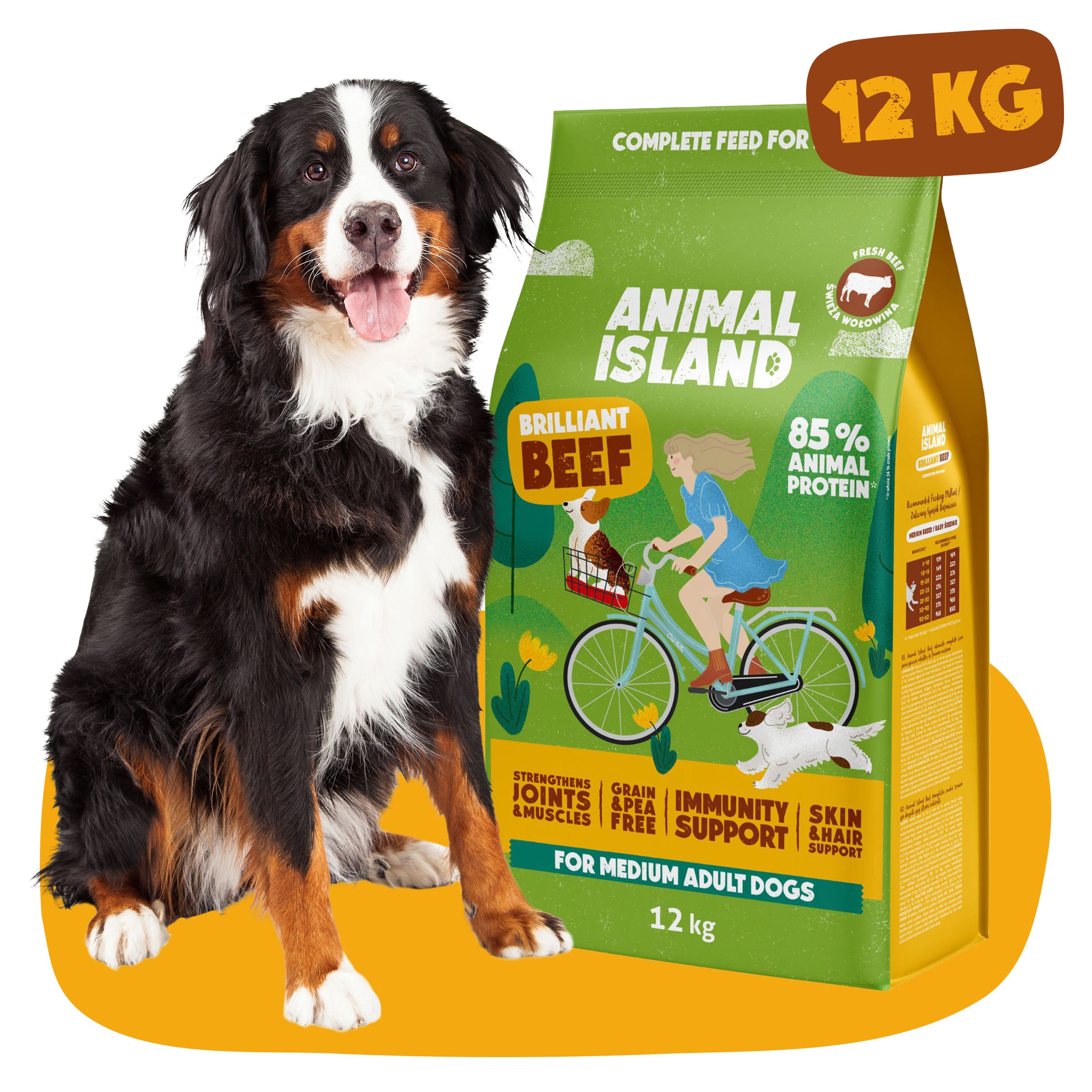 Sucha karma dla Psa wołowina 12 kg