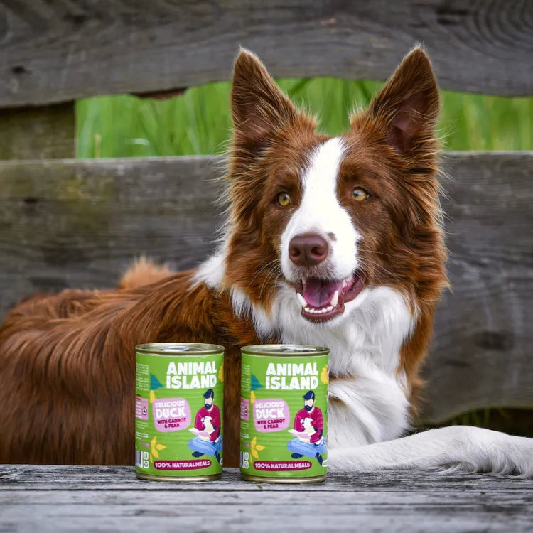 Wet dog food duck with carrot and pear 6x400g Animal Island