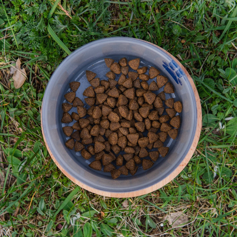 Dry Dog Food Beef 100g