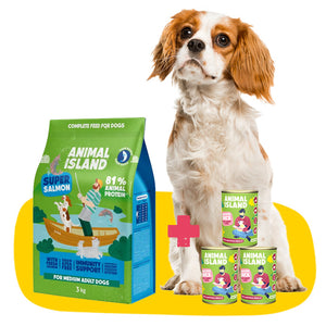 Healthy Belly Set: Dry and Wet Dog Food with Salmon and Duck 3kg + 3x400 g