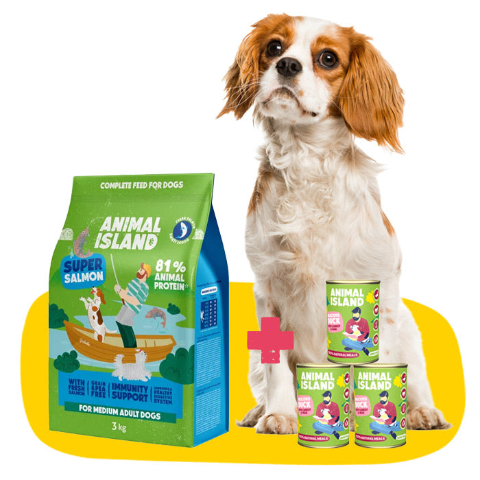 Healthy Belly Set: Dry and Wet Dog Food with Salmon and Duck 3kg + 3x400 g