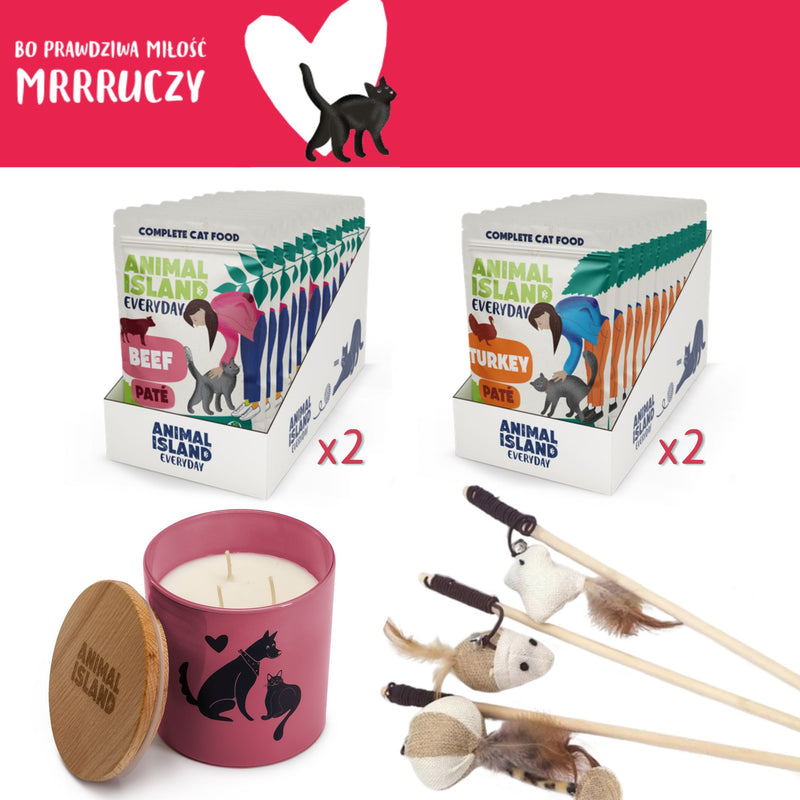 Zestaw LOVE Box dla kota - saszetki pasztet 2x (12szt indyk / 12szt wołowina, 48 szt.)