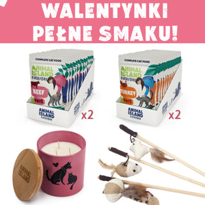 Zestaw LOVE Box dla kota - saszetki pasztet 2x (12szt indyk / 12szt wołowina, 48 szt.)