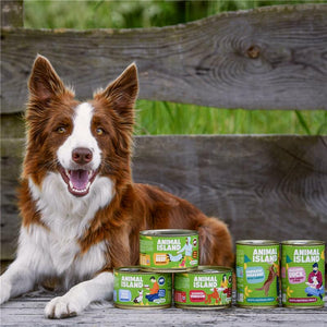 Wet Dog Food Mix of Flavors 4x400/410g